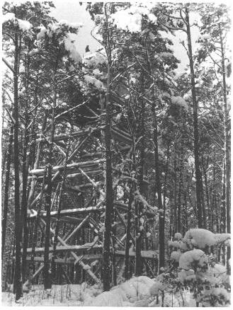 Einer der beiden Holzwachtürme im Winter 1939/40